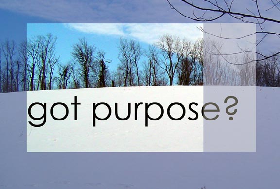 got-purpose
