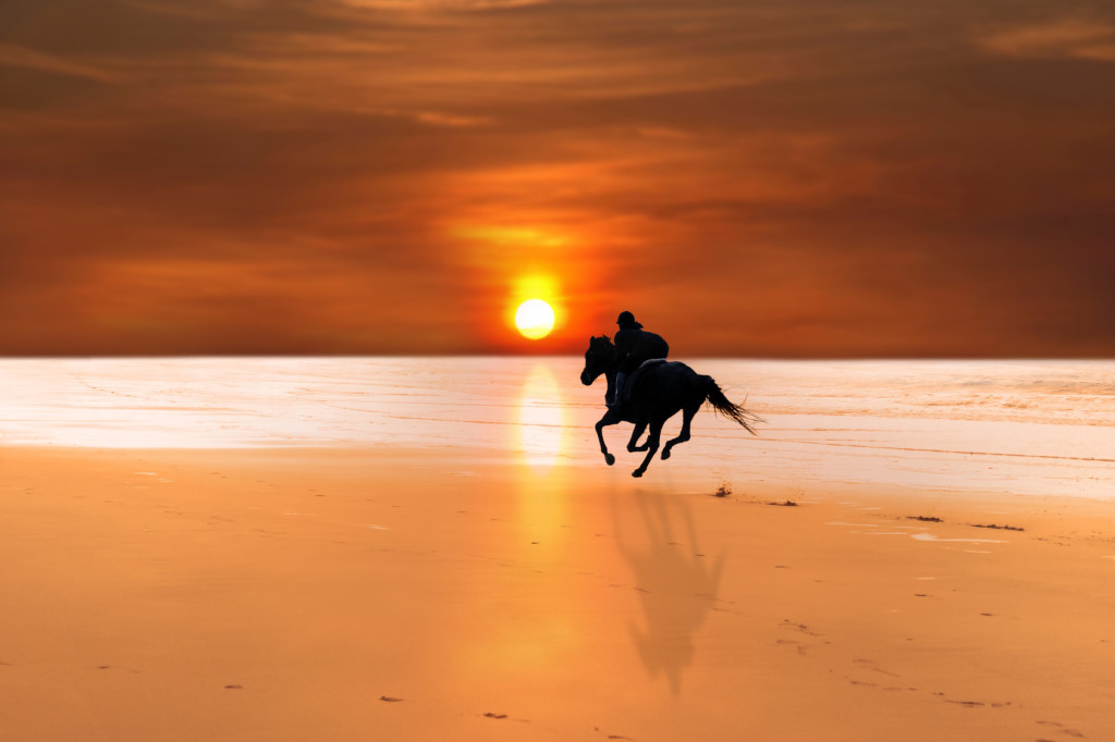 silhouette of a horse and rider galloping