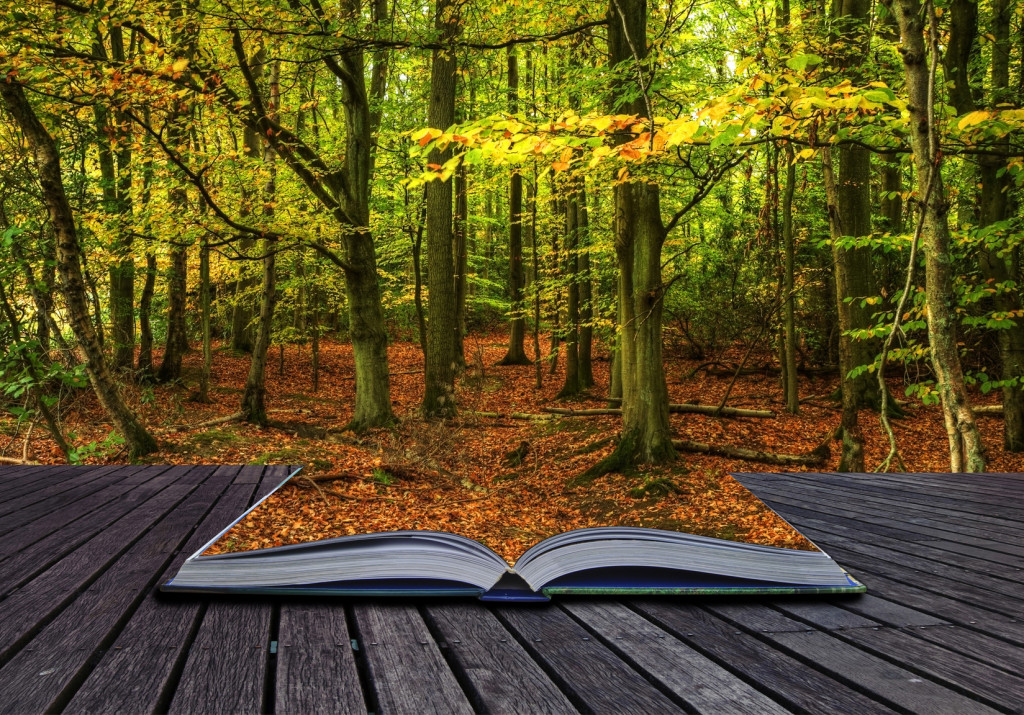 Autumn Fall forest coming out of pages in magic book